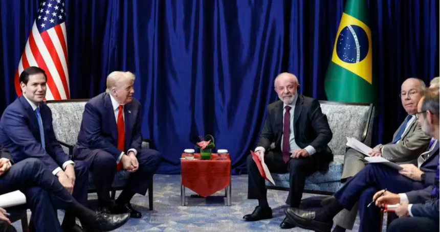 Lula e Trump: Adultos na Sala, Enquanto o Bolsonarismo Brinca no Parquinho